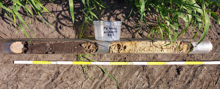 Bodenprofil Freigelegtes Bodenprofil mit sichtbaren Erdschichten